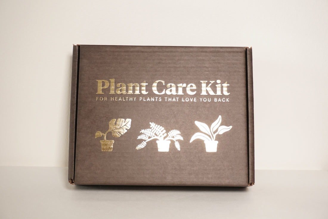 Coffret entretien pour plantes Botanopia