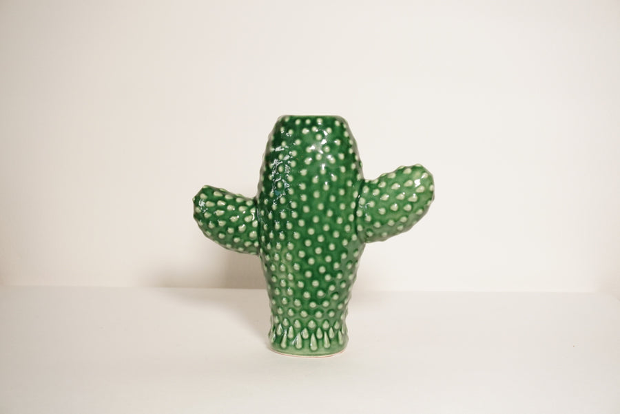 Vase cactus  S