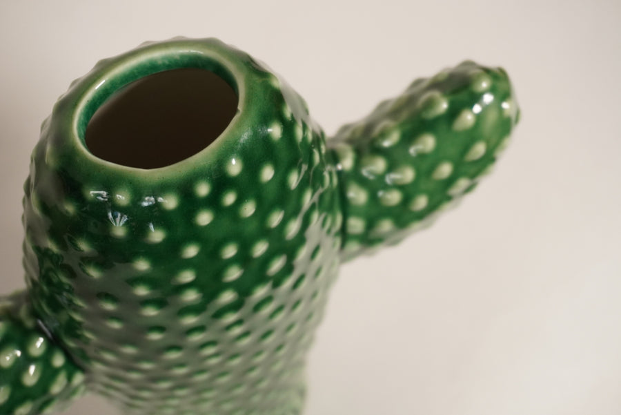 Vase cactus  S