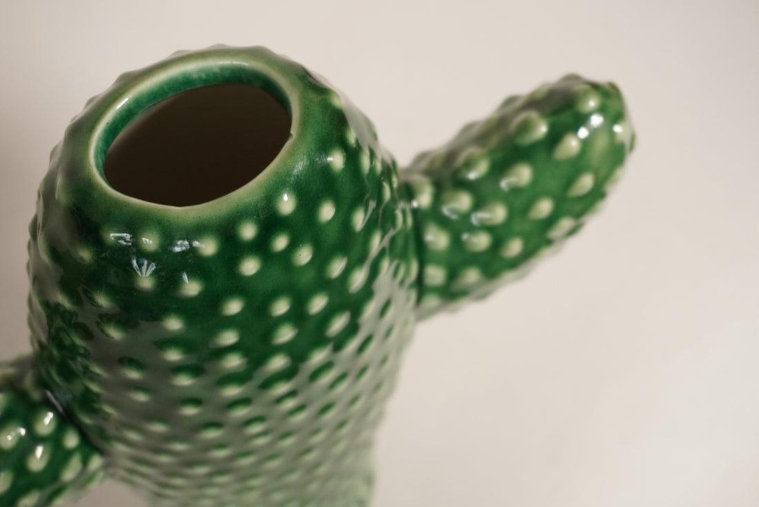 Vase cactus  M