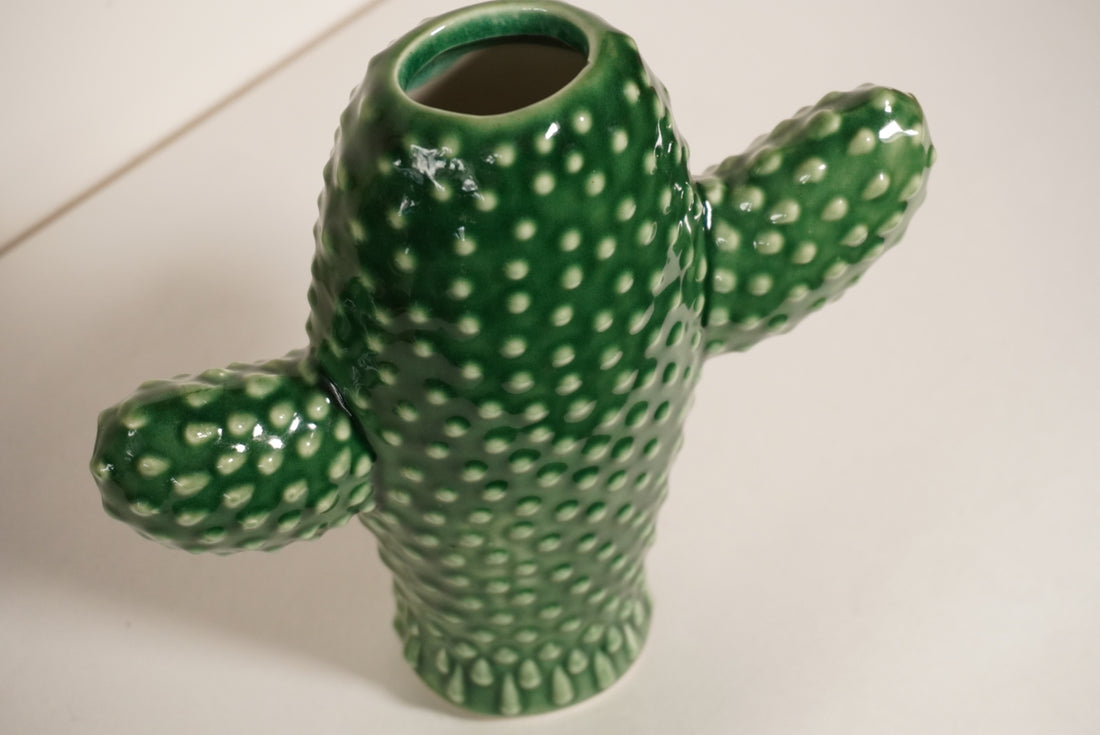 Vase cactus  M