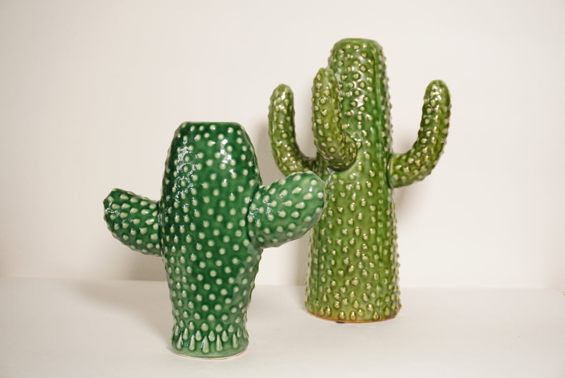 Vase cactus L