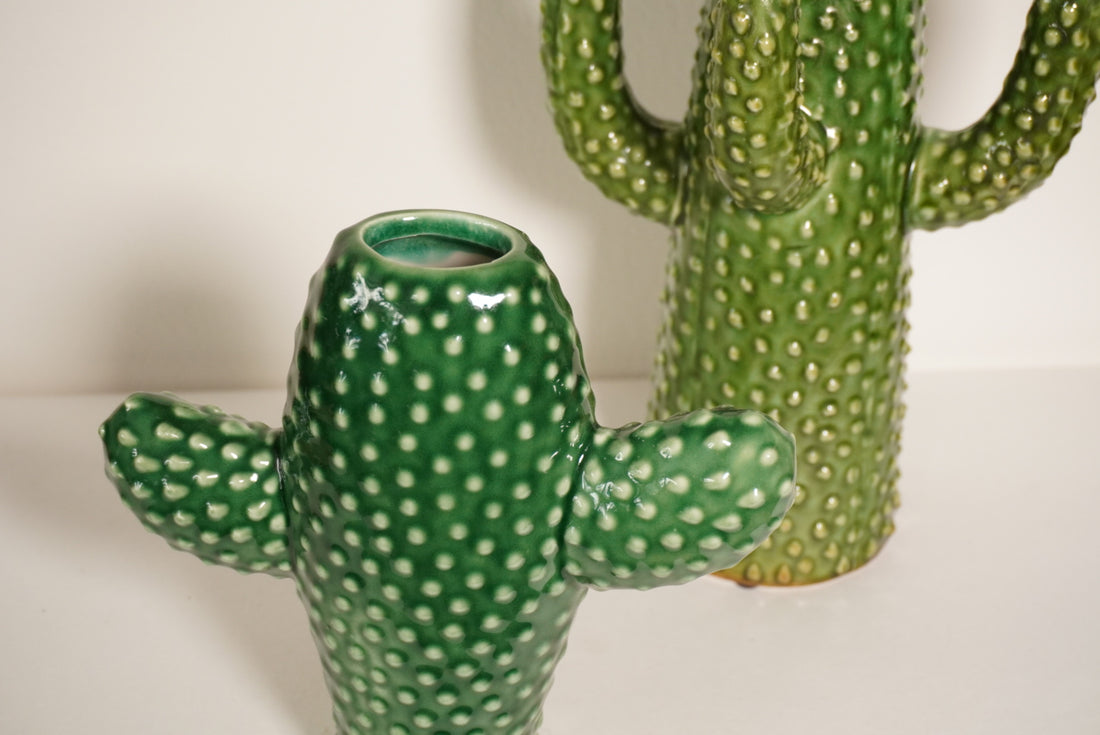 Vase cactus  S