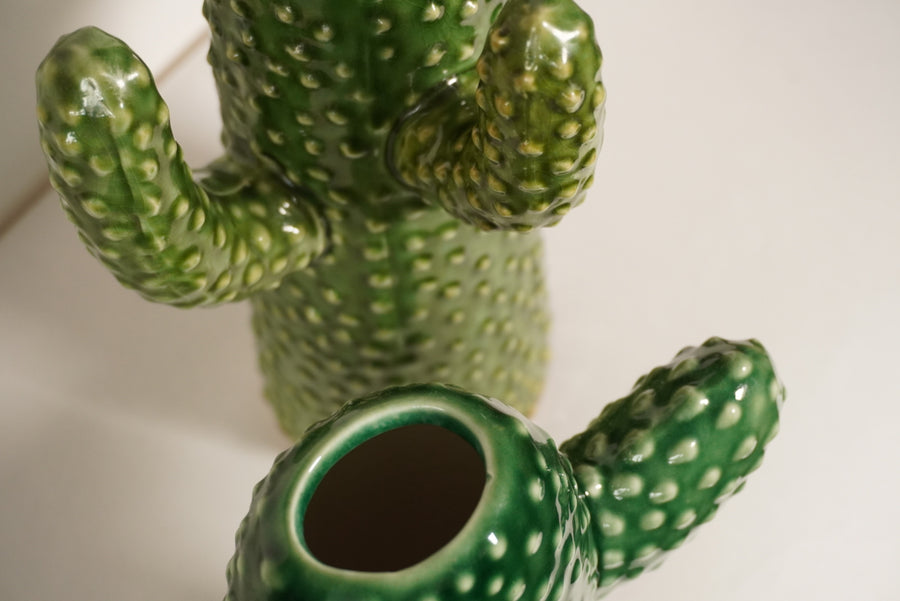 Vase cactus L