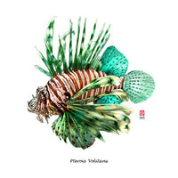 Carnet les Poissons - Pterois Volitans