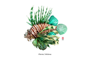 Carnet les Poissons - Pterois Volitans